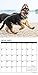 Just German Shepherd Puppies 2017 Wall Calendar (Dog Breed Calendars)