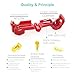 QTEATAK 120 PCS 60 Pairs T Tap Electrical Connectors, Wire Terminals Quick Wire Splice Electrical Connectors Self-Stripping and Nylon Fully Insulated Male Spade Disconnect Kit
