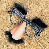 Kids Groucho Marx Glasses