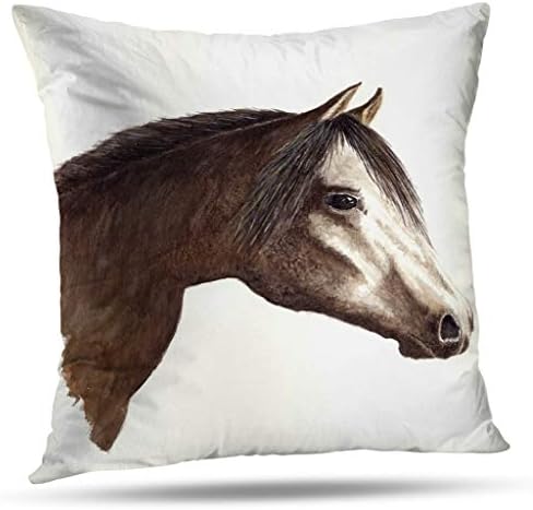 Pakaku Decorative Pillows Case Throw Pillows Covers for Couch Indoor Bed 20 x 20 Inch,Horse Horse Art Watercolor Wildlife Animals Home Sofa Cushion Cover Pillowcase Gift Bed Car Living Home
