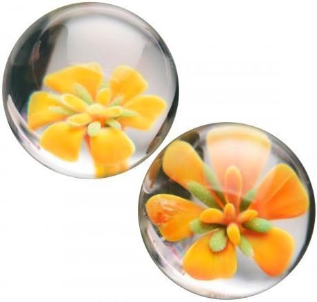 Asvani Glass