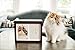 Pearhead Pet Dog or Cat Personalized Wooden Memory Box Keepsake, Pet Urn, Espresso, 41406