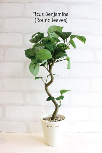 ミニ観葉植物 丸葉ベンジャミン H40 造花 大好評です Ct触媒 観葉植物
