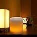 Flameless Candles -Battery Candles-Battery Powered Classic Pillar Optical Fiber Wick Real Wax Candle Set (3