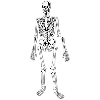 Amazon.com: Learning Resources Skeleton Floor Puzzle: Toys