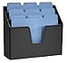 Acrimet Horizontal Triple File Folder Holder Organizer (Black Color)