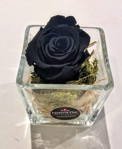 ROSA PRESERVADA NEGRA EN CUBO DE CRISTAL+ CAJA ROJA DE NESTLÉ 100GR.: Amazon.es: Jardín