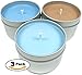 Candlecopia Driftwood, Man Cave and Rain Water Strongly Scented Hand Poured Vegan Travel Tin Candles, 3 x 4 Ounce Tins