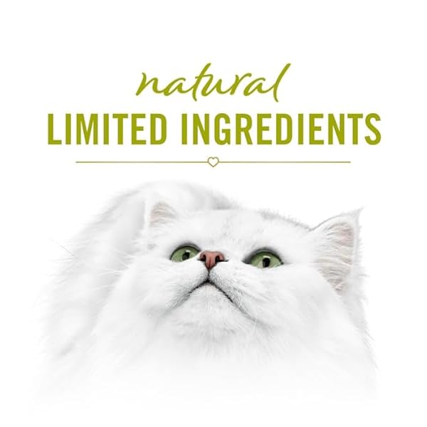FANCY FEAST SAVORY PUREE NATURALS CHICKEN FLAVORED IN A DEMI-GLACE SQUEEZABLE ADULT CAT TREATS, 1.4 OZ.