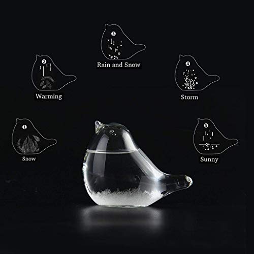 image for Sikye Clear Weather Forecaster Storm Glass Bird Shape Crystal Glass Cr
