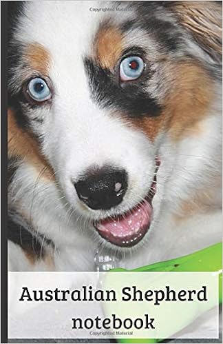 australian shepherd small