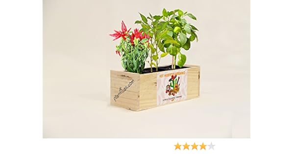 Kit de Huerto Urbano Mexicano: Guindillas. Jalapeños y Pimientos ...