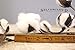 Silvercloud Trading Co. Cotton Stems - 3 Stems/Pack - 10 Cotton Buds/Stem - 20