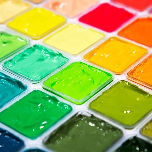 AOOK HIMI Gouache Paint Set Jelly Cup 56 Vibrant Colors Non Toxic Paints with Portable Case Palette for Artist Canvas Painting Watercolor Papers, Rich Pigment, (56 coler white)