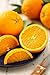 GiftTree Harvest Fruit and Snack Gift Box | Includes Delicious Apples, Juicy Oranges, Pears and Almond Roca, & Chocolate Pomegranate Truffles | Great Gift for Holidays, Christmas, Birthday, Thank You