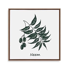 Framed Canvas Wall Art for Living Room, Bedroom Nordic Style Plants Theme Canvas Prints for Home Decoration Ready to Hang - 16x16 inches