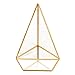 HOMEIDEAS Glod Geometric Terrarium Modern Clear Glass Pyramid Tabletop Box Succulent Plants Holder