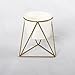 NCYP Geometric Iron Rack Holder Metal Stand Gold with White Ceramic Planter Indoor Desktop Garden Pot for Succulents Herbs Cactus Modern Style Window Sill Decorative Bonsai ( NO Plants )