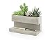 Kikkerland Concrete Desktop Planter, Large (PL02-L)