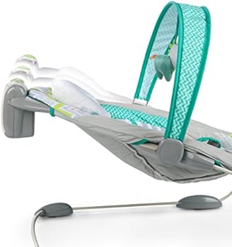 ingenuity smartbounce automatic ridgedale bouncer