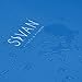 Sivan HEALTH and FITNESS YGM-NBR-B NBR Yoga and Pilates Mat (Blue)