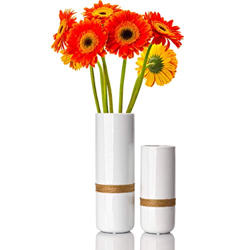 Jasius White Flower Vase Set Elegant White Vases for Decor with