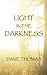 Light in the Darkness by Dane Thomas