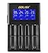 Golisi S4 2.0A Smart Charger with LCD Display and Wall Charger Cable Intelligent Battery Charger for Rechargeable Batteries Ni-MH Ni-Cd A AA AAA AAAA C SC, Li-ion