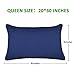 Adoric Queen Size Brushed Microfiber Pillow Cases with Envelope Closure End, Wearable Case-2Pcs,Blue