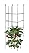 Panacea 83830 Small Space Expandable Tomato Tower 2 Pk. Raised-Garden-Kits, 20 in. H Blackthumb 2