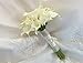 20pcs Calla Lily Bridal Wedding Bouquet Head Latex Real Touch Flower White Flower with Yellow Core