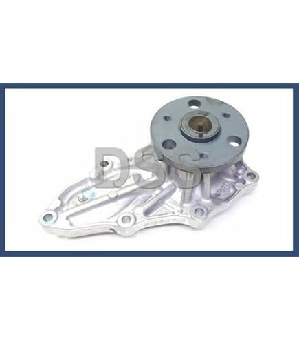 Amazon.com: Honda 19200-ZA0-020 & 19222-ZA0-004 Water Pump