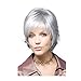 LEJIMEI Short Straight Wigs with Bangs Silver Grey Synthetic Hair Wigs for Older Women Daily Use Fashion Full Wig + Wig Cap