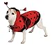 Rubie's Lady Bug Pet Costume, X-Large