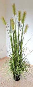 PLANT&STYLE Künstliches Pampasgras, getopft, 180cm, grün