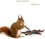 GoHoKi Apple Wood Chew Sticks for Small Animals 200g Rabbits Hamsters Guineapigs view 3