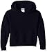 Jerzees boys Fleece Sweatshirts, Hoodies & Sweatpants Hooded Sweatshirt, Hoodie - Black, Large US