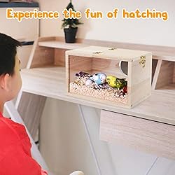 Rypet Parakeet Nesting Box Transparent Design, Bird