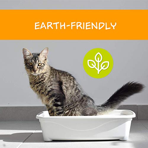 Petfive Garfield Cat Litter Ultimate Clump, All Natural, Fast Clumping