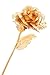 Lightahead 24K Gold Rose Foil Flowers Handcrafted with Gift Box The Ultimate Valentines Day Gift, 7.87