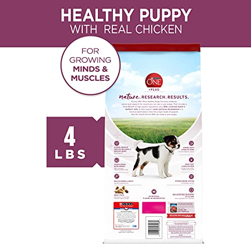 Purina ONE Natural, High Protein Dry Puppy Food, +Plus Healthy Puppy