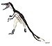 Carnegie Collection: Velociraptor