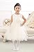 Merry Day Flower Girl Dress Tulle Princess Dresses with Petals for Wedding Birthday Party -Cream (Small Petals)