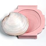 Silicone Mold Sea Shell Food Safe Fondant, Chocolate, Candy, Resin, Polymer Clay, Soap, Craft, Jewelry Food Mold.