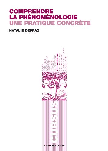 Comprendre la phénoménologie