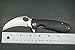 Western Active Honey Badger Claw Smooth Pocket Knife - Steel Blade, Lightweight, Folding Utility EDC - Survival - Reversible Pocket Clip - Medium (Claw Smooth Medium Black HB1121)