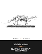 2 Kurzgeschichten zum Nachdenken: Ein unerreichbarer Held / Der Ratschlag des Kindes (German Edition)