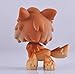 GOOD LUCK CHARM Rare Littlest Pet Shop Wolf Brown Tan Husky Timberwolf Green Eyes Dog LPS + GIFT BOX