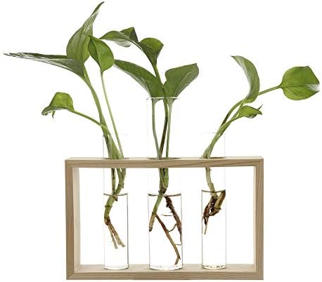 Water Planting Glass Vase,Test Tube Planter Modern Flower with Retro Solid Wooden Stand Tabletop for Hydroponics Plants Home Garden