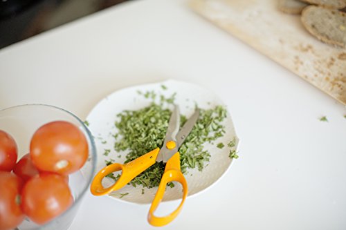 Garden Scissors With Serrated Edge